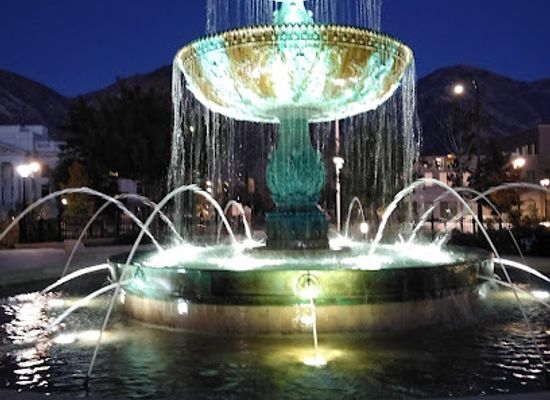 utah/provo/landmark/historic-rare-elm-tree