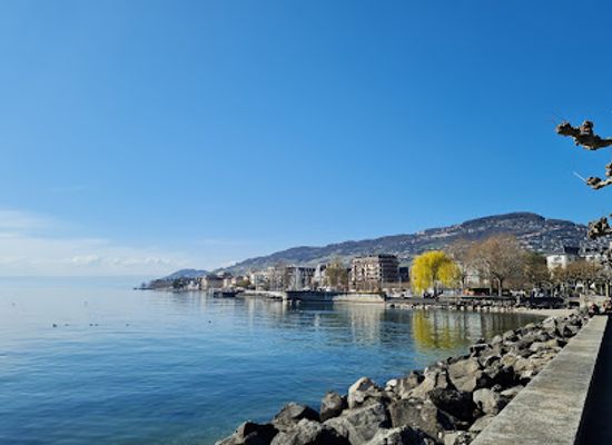 switzerland/vevey/landmark/jardin-du-rivage