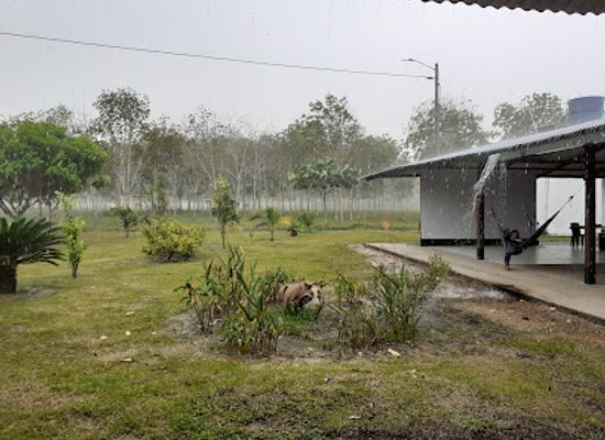 colombia/macarena-range/landmark/tinigua-finca-recreacional-y-ecoturistica