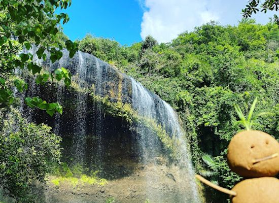 palau/ngeruangel/landmark/ngardmau-waterfalls