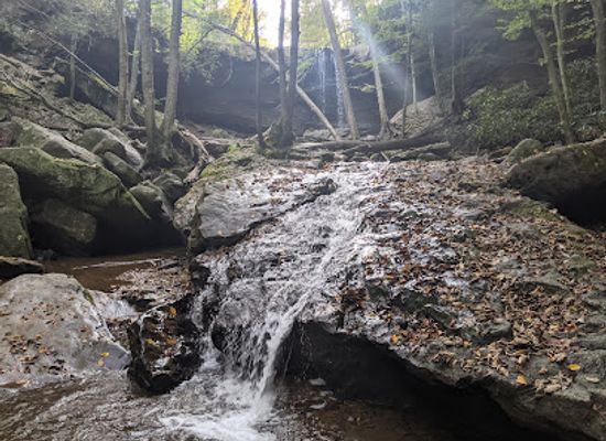 pennsylvania/ohiopyle-state-park/landmark/ferncliff-peninsula-natural-area