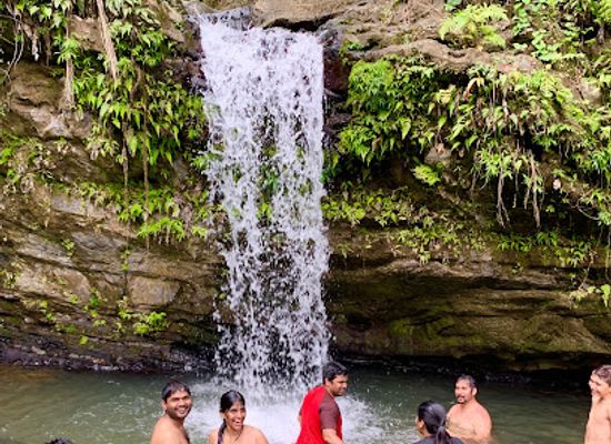 puerto-rico/yunque-national-forest/landmark/el-yunque-tours-inc