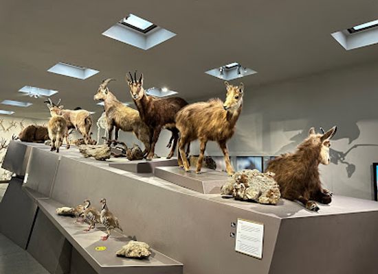 liechtenstein/alp-pradamee-trail/landmark/liechtensteinisches-landesmuseum