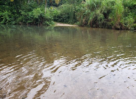 belize/stann-creek-district/landmark/barton-creek