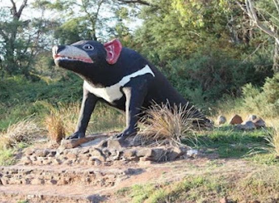 australia/tasmanian-wilderness/landmark/the-big-tasmanian-devil