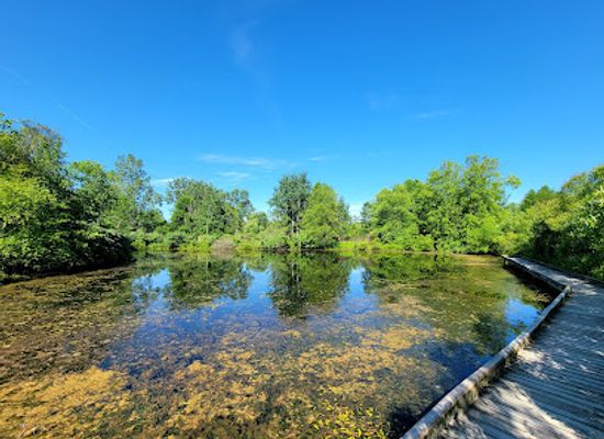 michigan/holland-state-park/landmark/outdoor-discovery-center