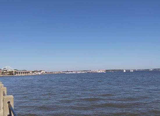 south-carolina/folly-beach/landmark/the-williams-mansion