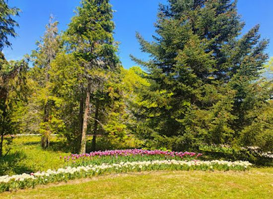 bulgaria/varna-region/landmark/university-botanical-garden-ecopark-varna