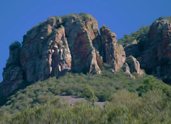 arizona/huachuca-mountains/landmark/ramsey-canyon-preserve-nature-conservancy