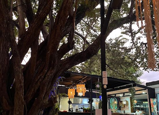 costa-rica/tamarindo/landmark/el-terreno-urban-food-bouldering