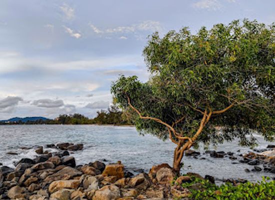 malaysia/kota-kinabalu/landmark/tanjung-aru-beach-seaview-kota-kinabalu-sabah