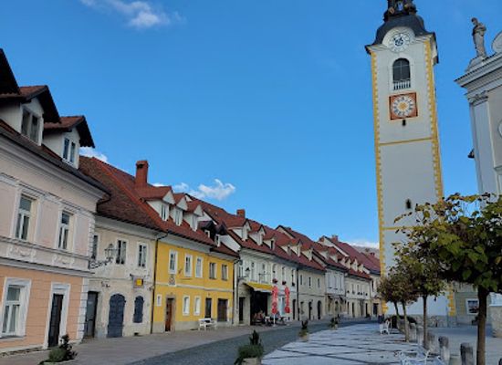 slovenia/kamnik/landmark/kamnik-mesto
