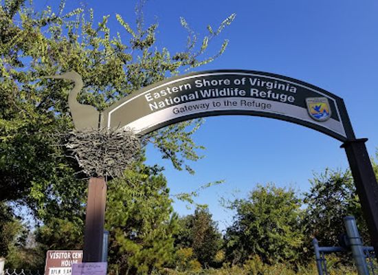 virginia/chesapeake-bay-region/landmark/eastern-shore-of-virginia-national-wildlife-refuge-visitor-center
