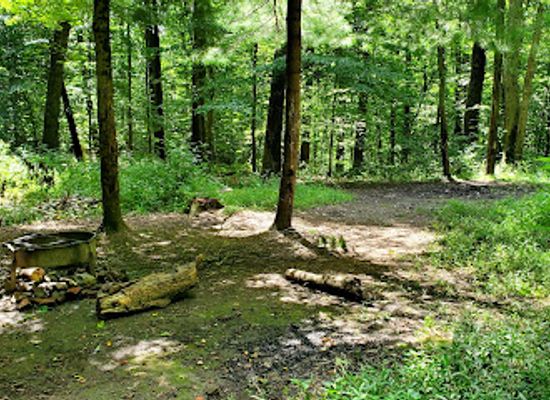 ohio/mohican-state-park/landmark/mohican-state-park-backpack-campsite-8