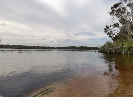 australia/northern-rivers/landmark/lake-ainsworth