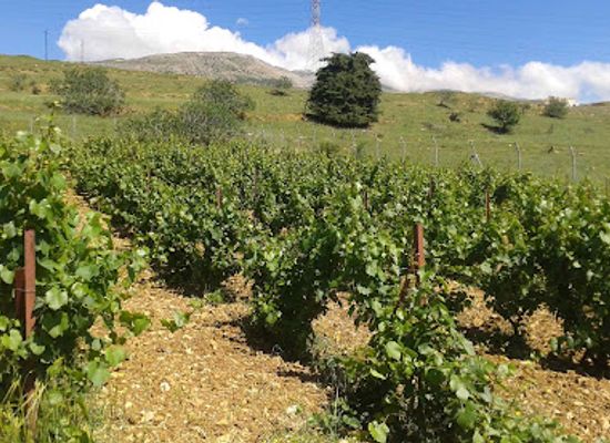 lebanon/bekaa-valley/landmark/chateau-heritage