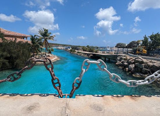 curacao/caracas-bay/landmark/dolphin-academy-curacao