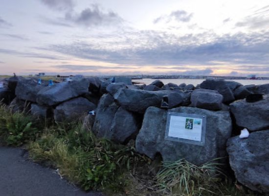 iceland/southern-peninsula/landmark/children-s-garden-of-art