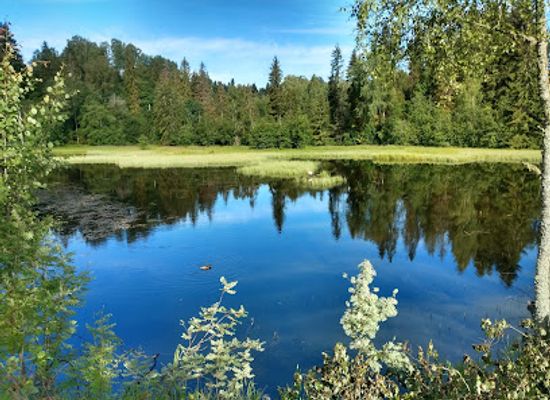 sweden/dalarna/attraction/saterdalen