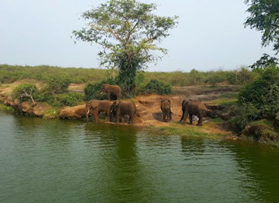 uganda/queen-elizabeth-national-park/landmark/queen-elizabeth-national-park-tourisit-vehicle-for-hire-at-katunguru