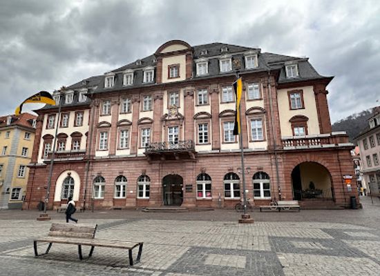germany/heidelberg/landmark/heidelberger-marktplatz