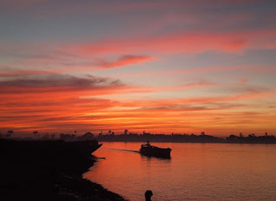 bangladesh/sylhet-division/landmark/sun-flower-view