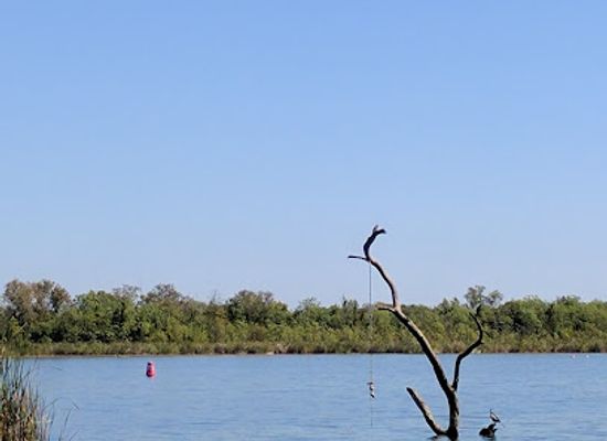 australia/the-kimberley/landmark/swim-beach-park