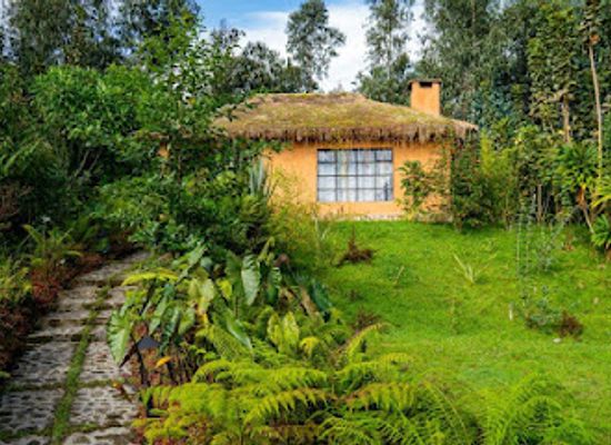 rwanda/volcanoes-national-park/landmark/sambora-kinigi