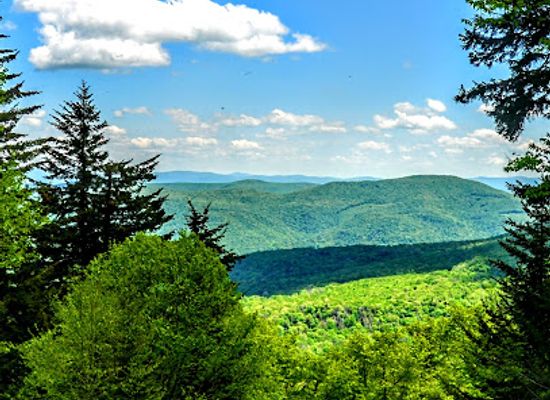 west-virginia/spruce-knob/landmark/red-spruce-knob