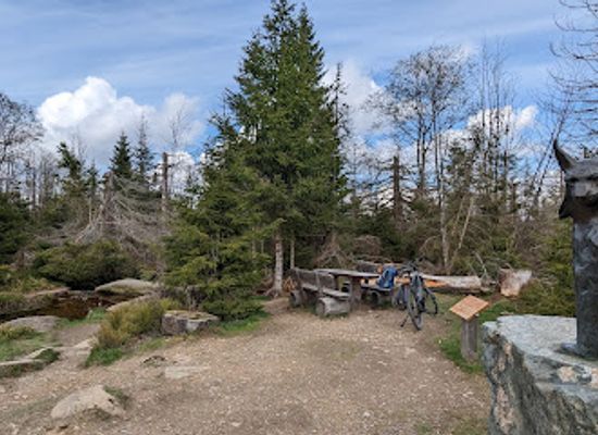 germany/harz-national-park/landmark/luchs-denkmal-torfhausmoor