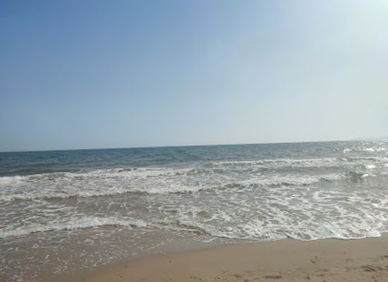 tunisia/tunis/la-marsa/landmark/marsa-picnic