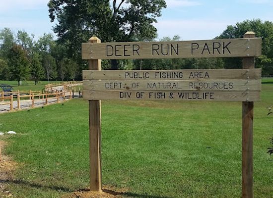 indiana/yellowwood-state-forest/landmark/parks-recreation