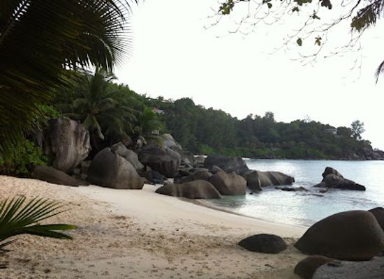 seychelles/cerf-island/landmark/la-misere-exotics-garden-centre