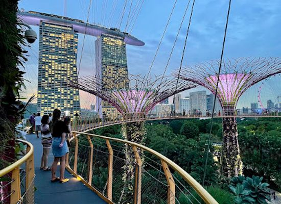 singapore/marina-bay/landmark/ocbc-skyway