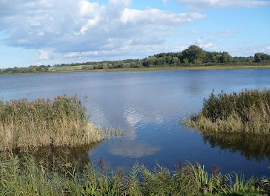 poland/kuyavia/landmark/archaeological-museum-in-biskupin