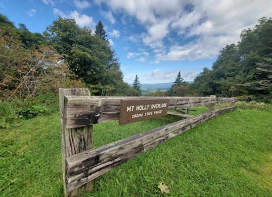 vermont/windsor-county/landmark/mount-holly-overlook-on-okemo-state-forest-mountain