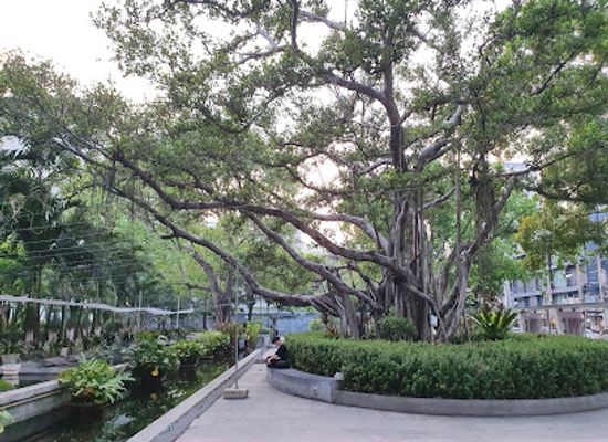 thailand/bangkok/siam/landmark/park-siam