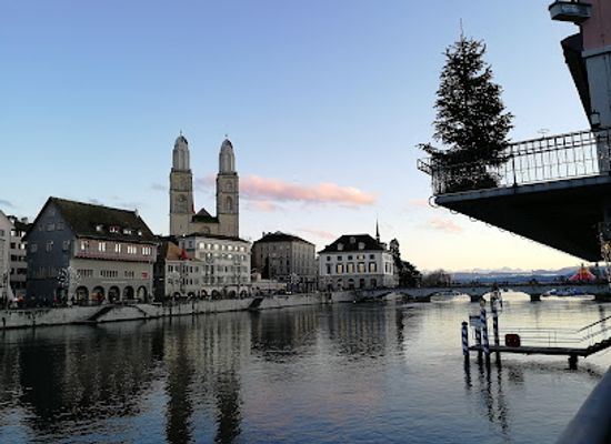 switzerland/zurich/altstadt/landmark/david-brunnen