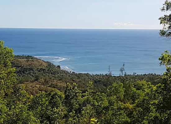 guam/mount-jumullong-manglo/landmark/sella-bay-overlook