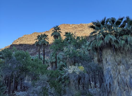 california/palm-springs/landmark/indian-canyons