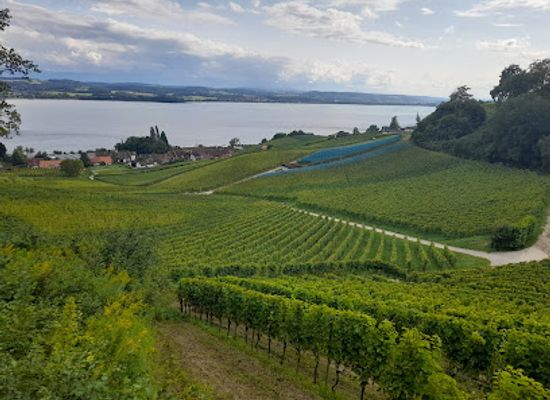 switzerland/fribourg/landmark/les-grottes-des-roches-grises-la-lamberta