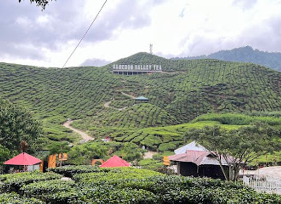 malaysia/cameron-highlands/landmark/cameron-valley-tea-house-1