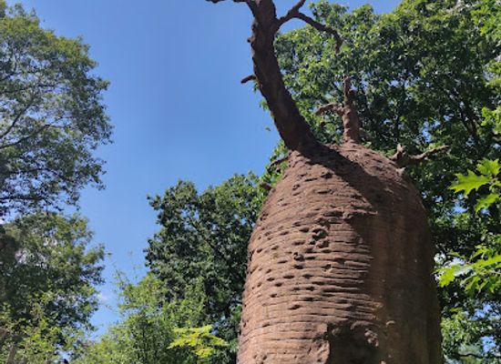 netherlands/veluwe/landmark/apenheul