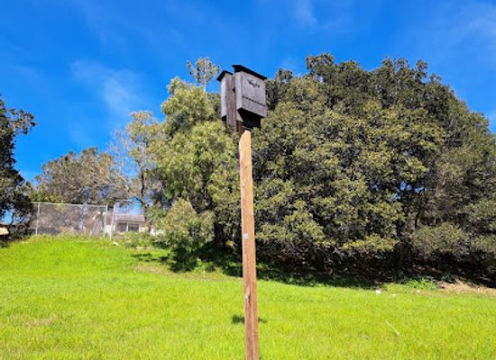 california/hayward/landmark/sulphur-creek-nature-center