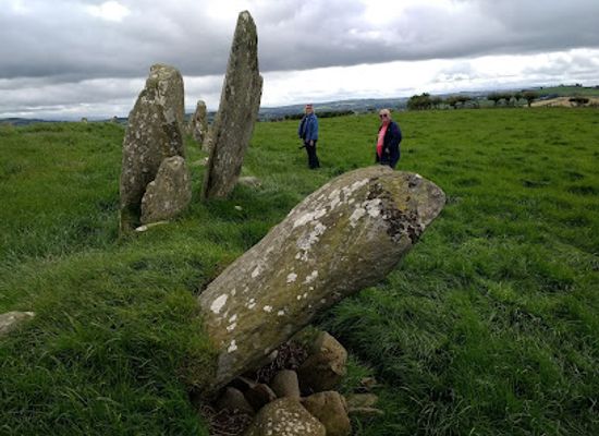 ireland/county-donegal/landmark/beltany-stone-circle