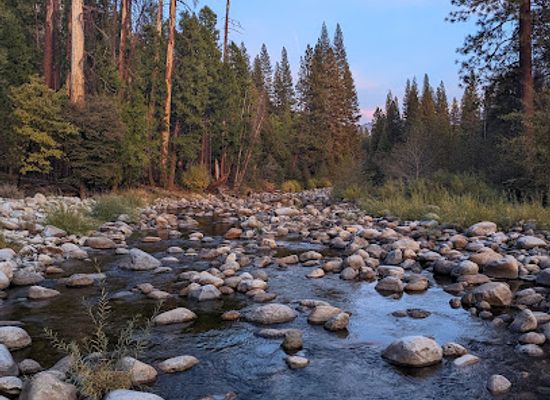 california/yosemite/landmark/the-redwoods-in-yosemite