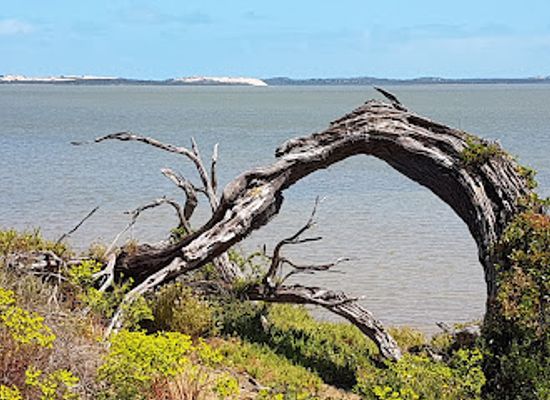australia/riverland/landmark/coorong-national-park
