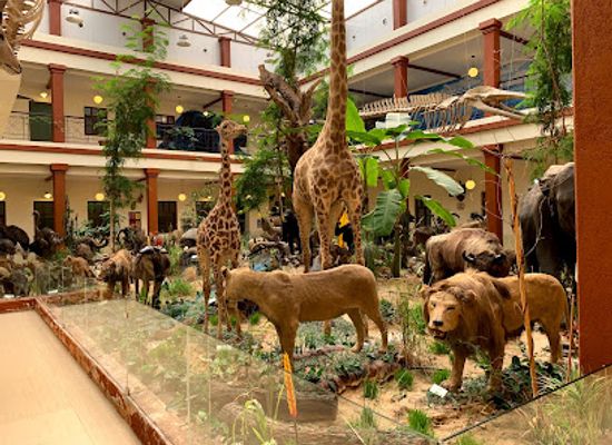 kuwait/kuwait-city/hawally/landmark/bait-al-othman-museum
