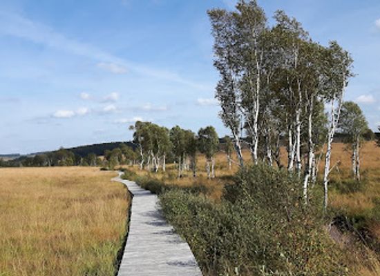 belgium/hautes-fagnes/landmark/noir-flohay