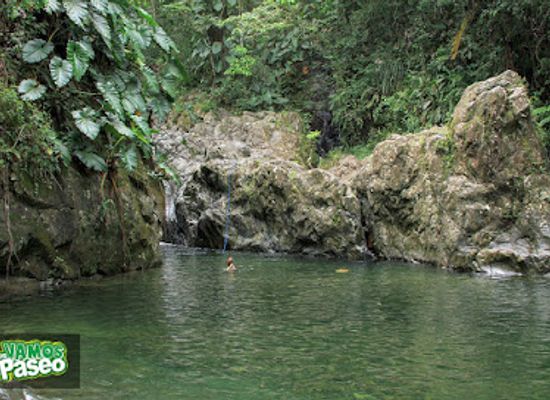 puerto-rico/yunque-national-forest/landmark/charco-frio